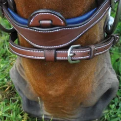 Bridon Paris Flags&Cup