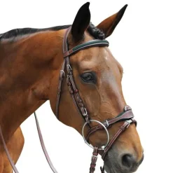 Bridon Paris Flags&Cup