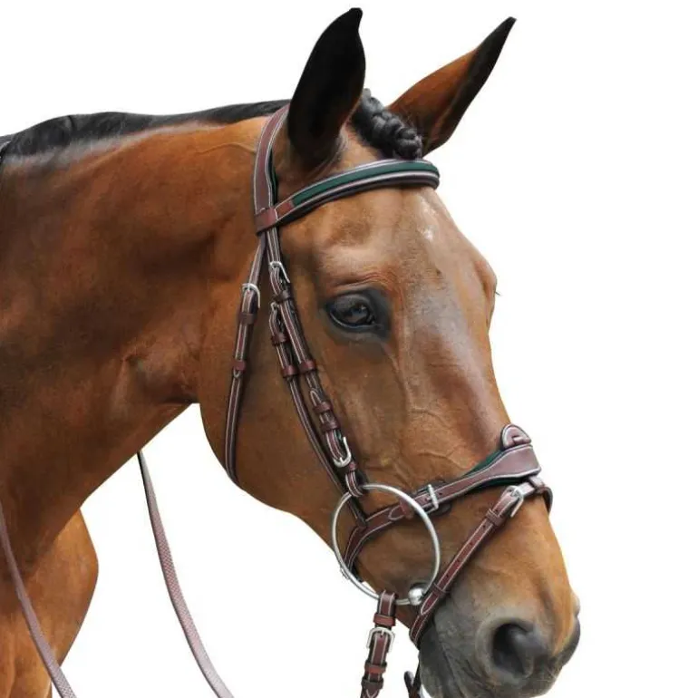 Bridon Paris Flags&Cup