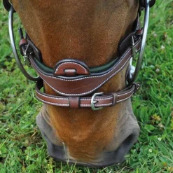 Bridon Paris Flags&Cup