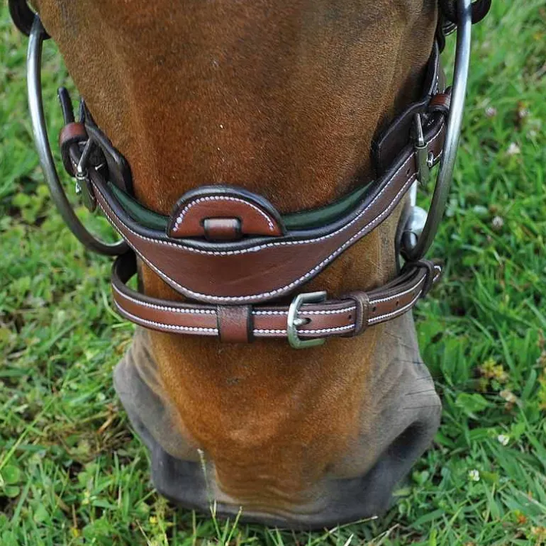 Bridon Paris Flags&Cup