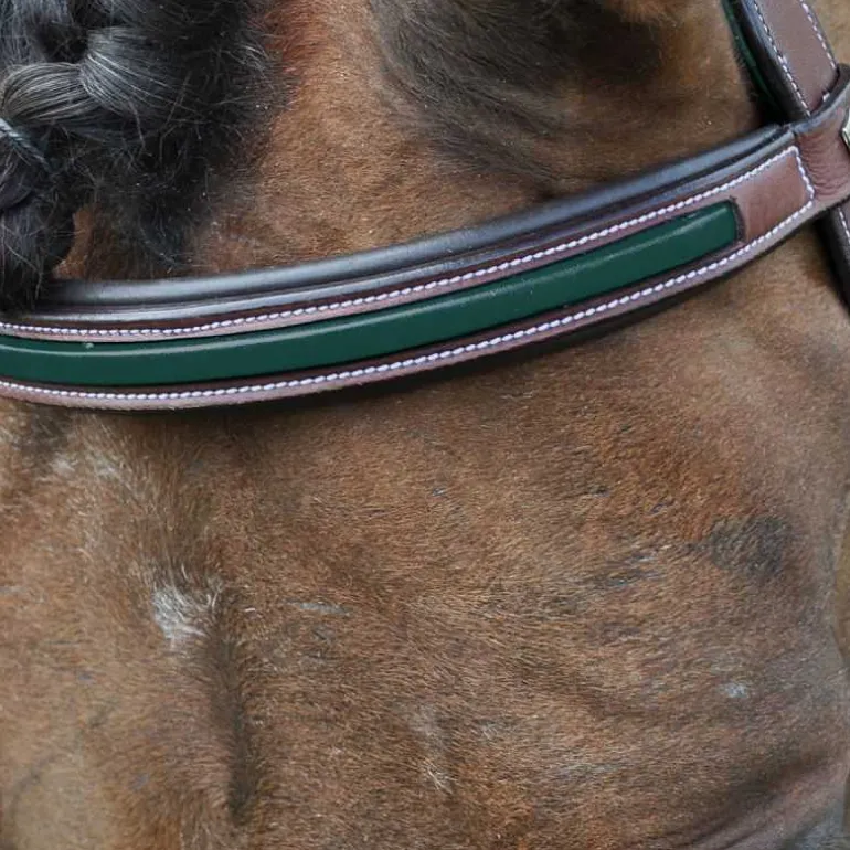 Bridon Paris Flags&Cup