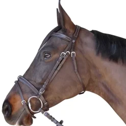 Bridon plat doublé Canter