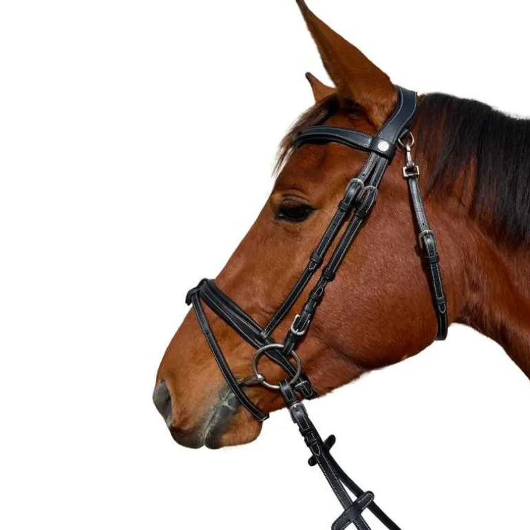 Bridon Praha Flags&Cup