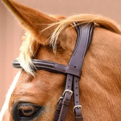 Bridon Pull-Back Cuir Souple Stationata