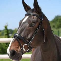 Bridon Pull-Back Cuir Souple Stationata