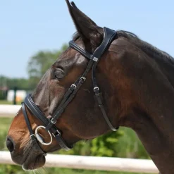 Bridon Pull-Back Cuir Souple Stationata