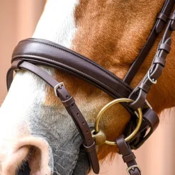 Bridon Pull-Back Cuir Souple Stationata