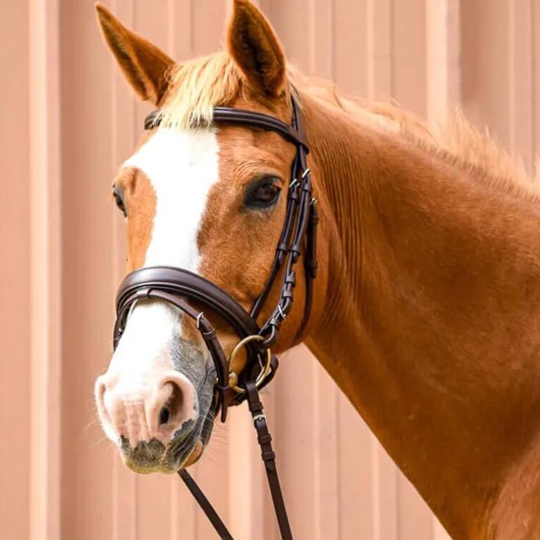 Bridon Pull-Back Cuir Souple Stationata