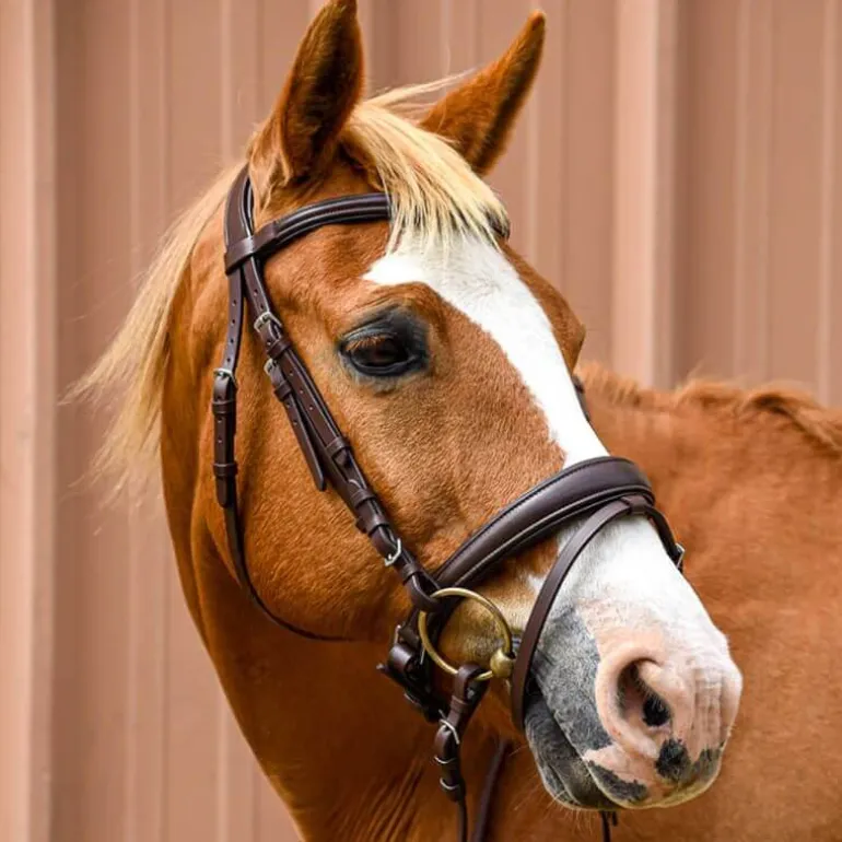 Bridon Pull-Back Cuir Souple Stationata