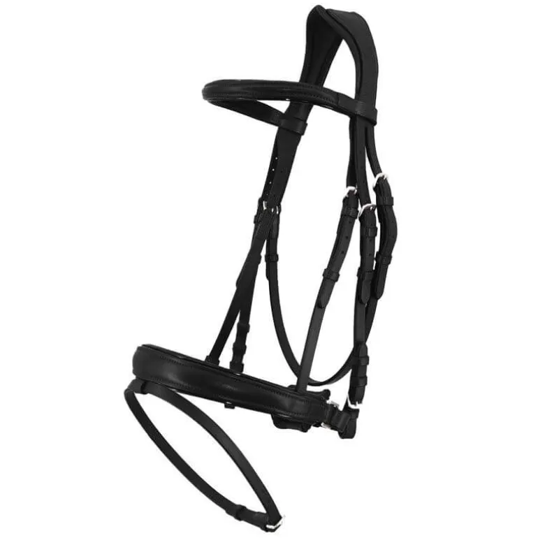 Bridon Pull-Back Cuir Souple Stationata