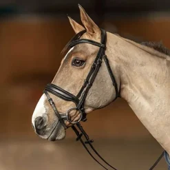 Bridon Pull-back Edges HFI Master