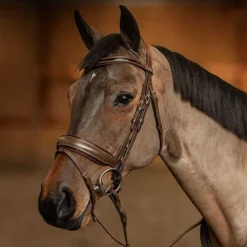 Bridon Pull-back Edges HFI Master