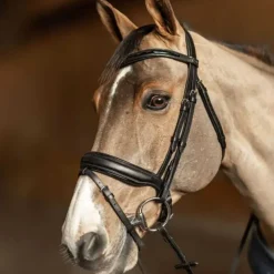 Bridon Pull-back Edges HFI Master