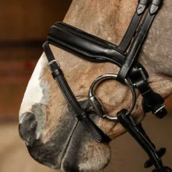 Bridon Pull-back Edges HFI Master