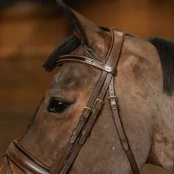 Bridon Pull-back Edges HFI Master