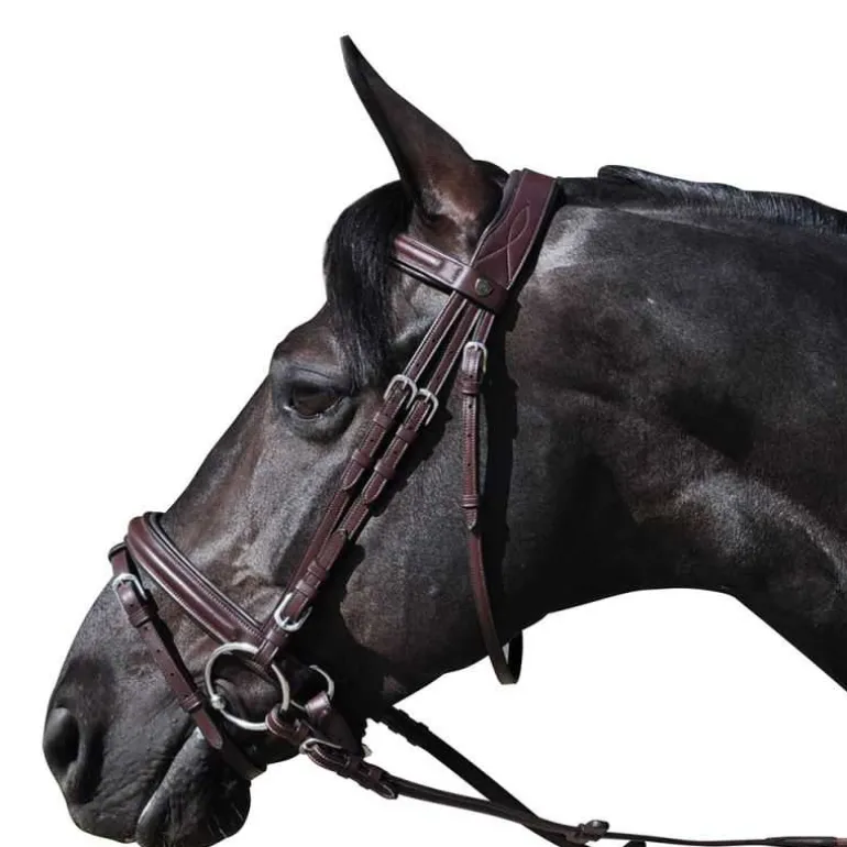 Bridon pull-back Hickstead Flags&Cup