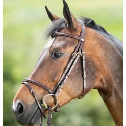 Bridon Regular HFI Master