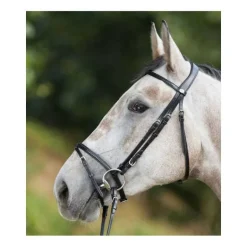 Bridon Regular HFI Master