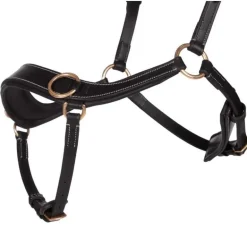 Bridon sans mors anatomique QHP