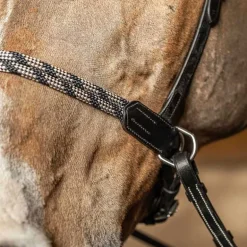 Bridon sans mors Freedom HFI Master