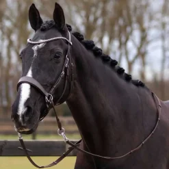 Bridon sans mors Sunna