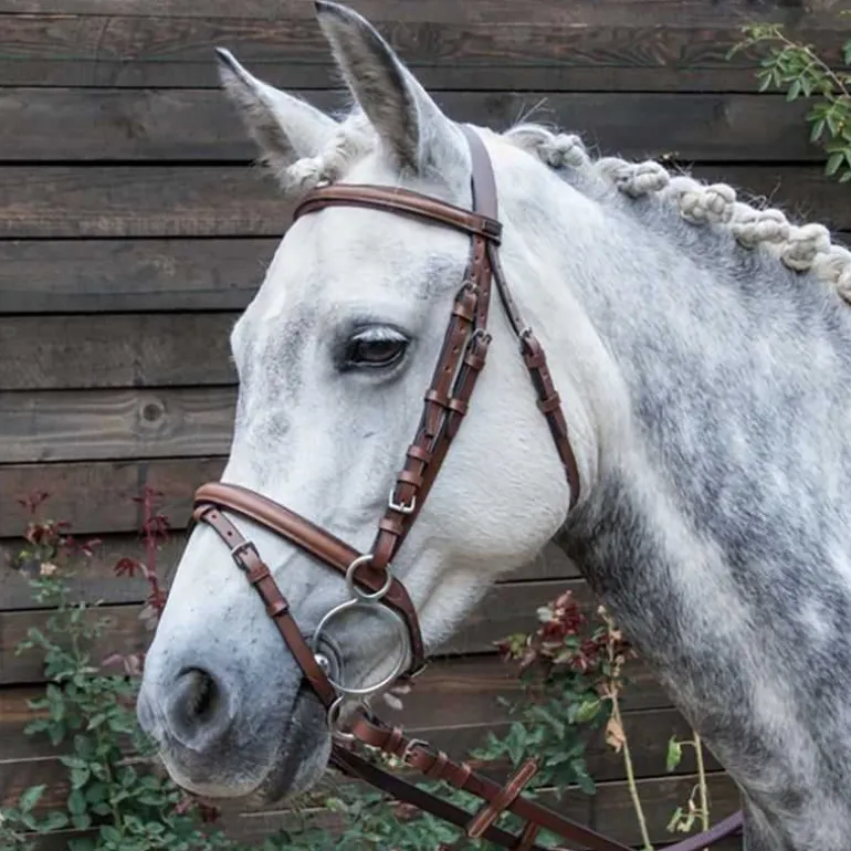 Bridon Sisley T de T