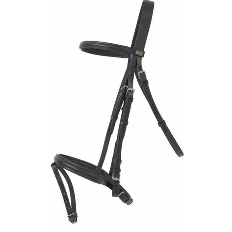 Bridon Sisley T de T