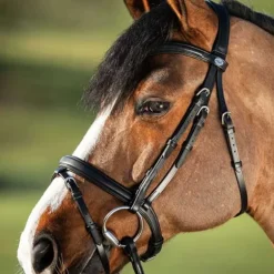 Bridon Soft HFI Master