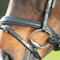 Bridon Soft HFI Master