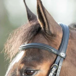 Bridon Soft HFI Master