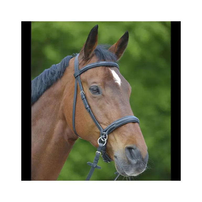 Bridon Star sans mors