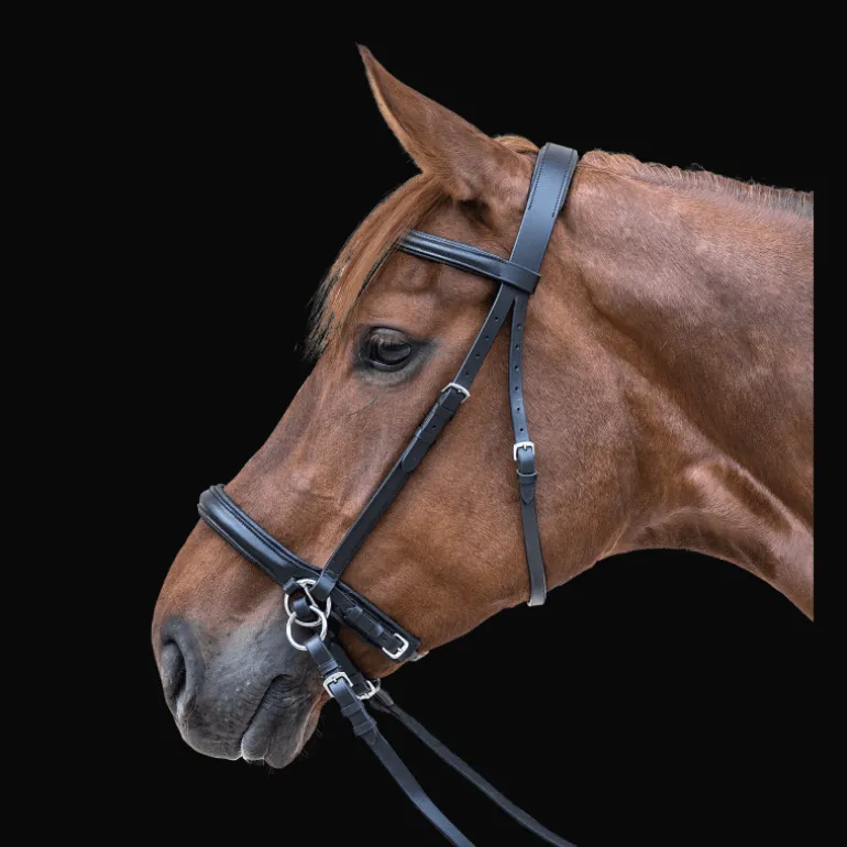 Bridon Star sans mors