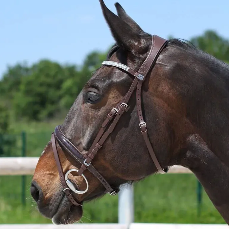 Bridon strass et verni Stationata