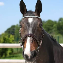 Bridon strass et verni Stationata