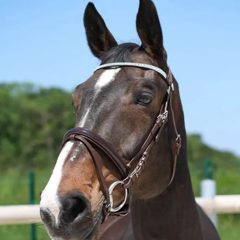 Bridon strass et verni Stationata