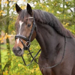 Bridon Sunset Q-essentials