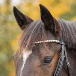 Bridon Sunset Q-essentials