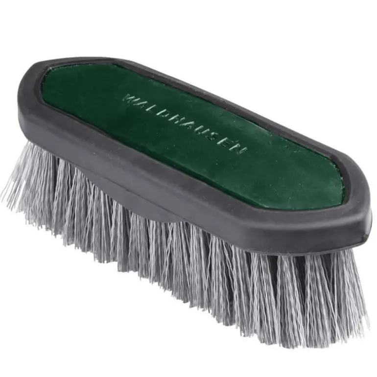 Brosse dur synthetic Waldhausen