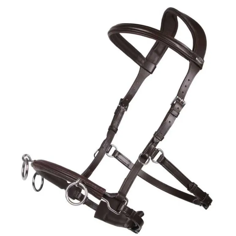 Caveçon cuir multifonctionnel en cuir QHP