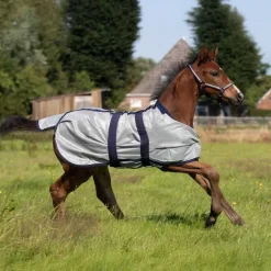 Chemise anti-mouches poulain QHP