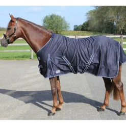 Chemise coton Basic Q-Essentials