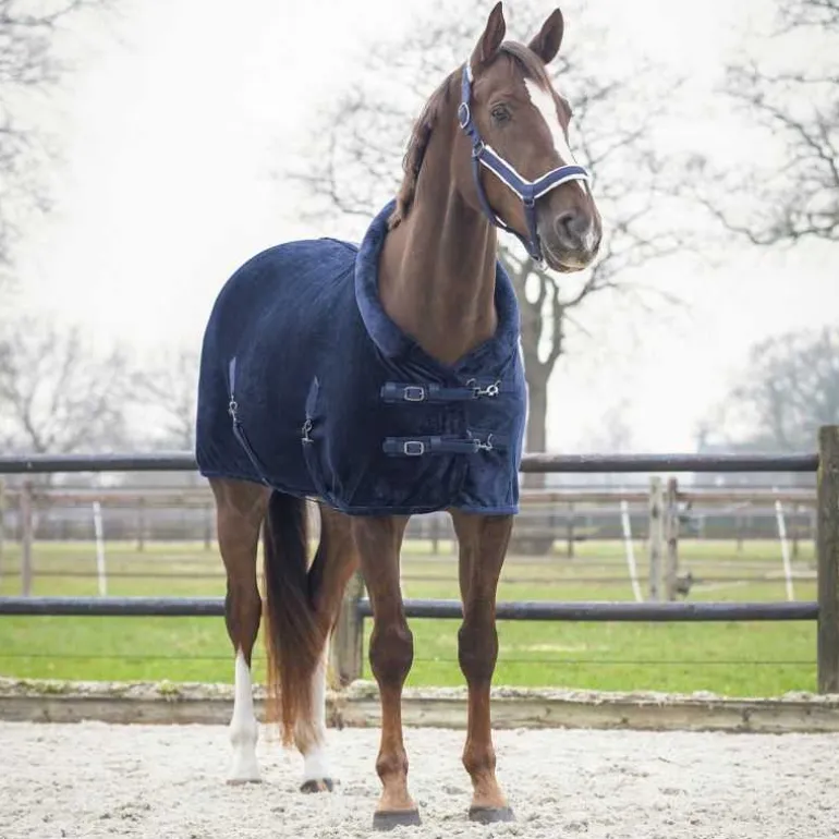 Chemise de présentation Sensisoft QHP