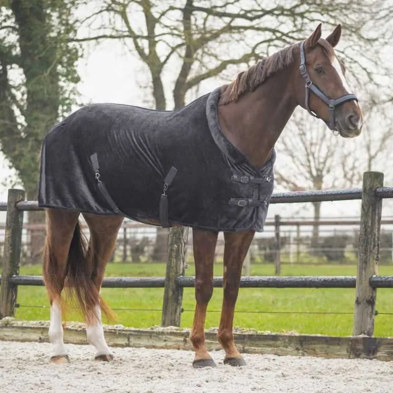 Chemise de présentation Sensisoft QHP