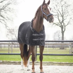 Chemise de présentation Sensisoft QHP