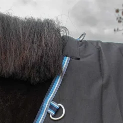 Chemise imperméable doublée Coton Horse & Go Noir