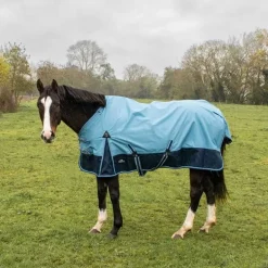 Chemise imperméable doublée Coton Horse & Go Bleu Gris