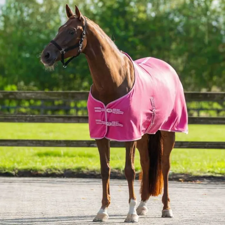 Chemise Polaire Color Q-essentials