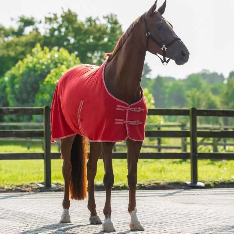 Chemise Polaire Color Q-essentials