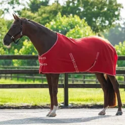 Chemise Polaire Color Q-essentials